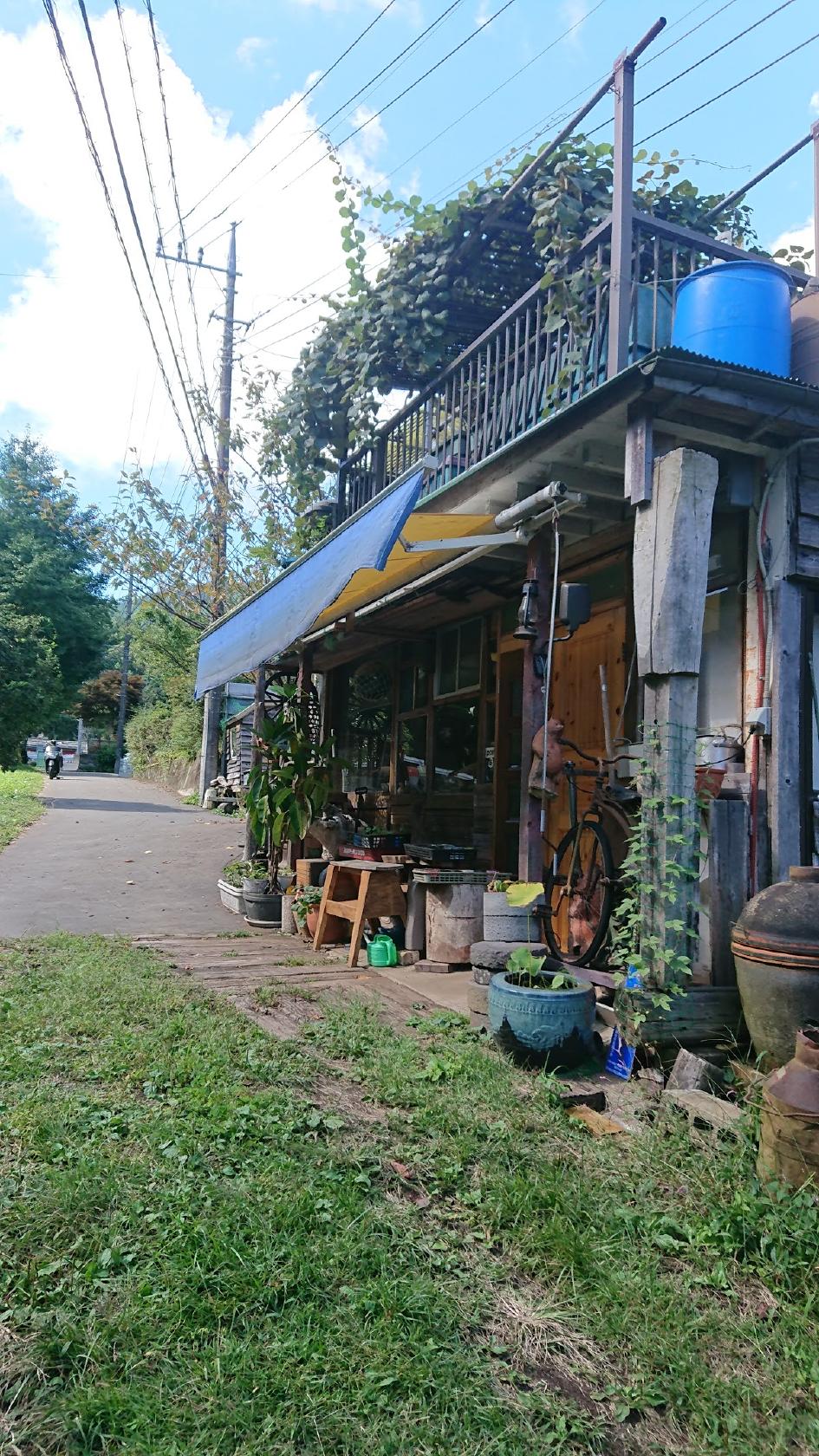 Google の写真