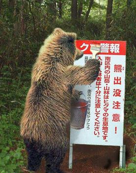 Google の写真