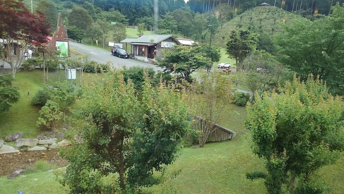 Google の写真