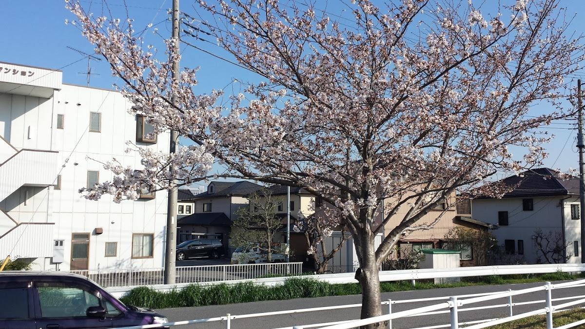 Google の写真