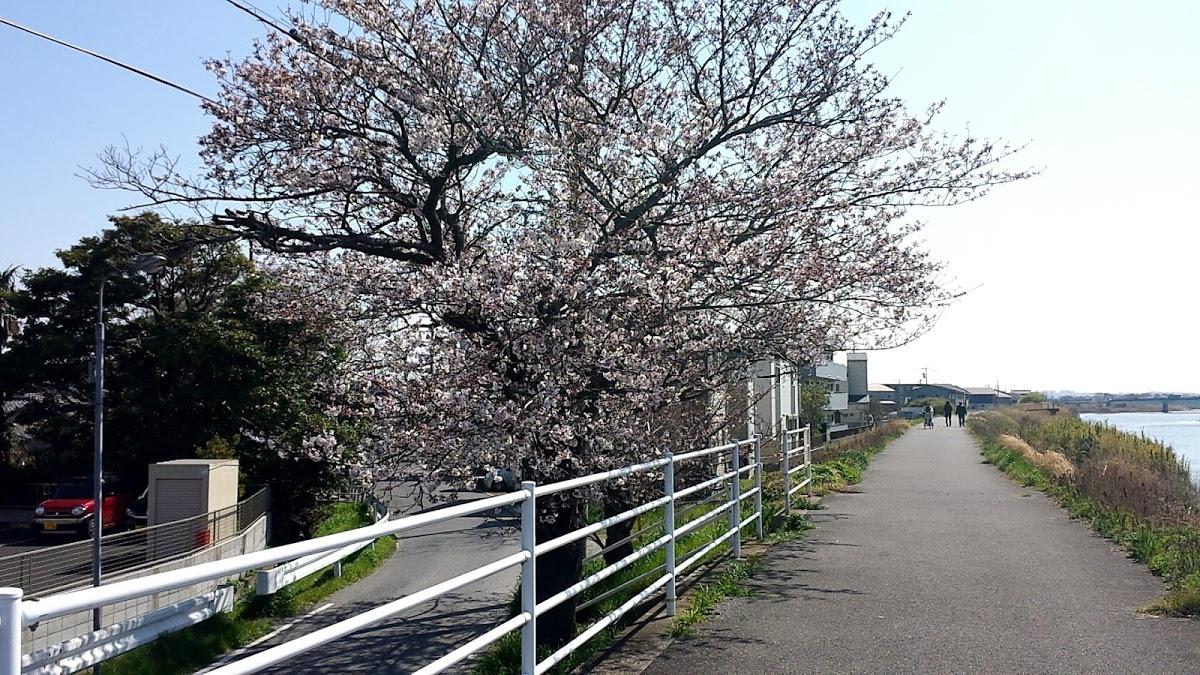 Google の写真