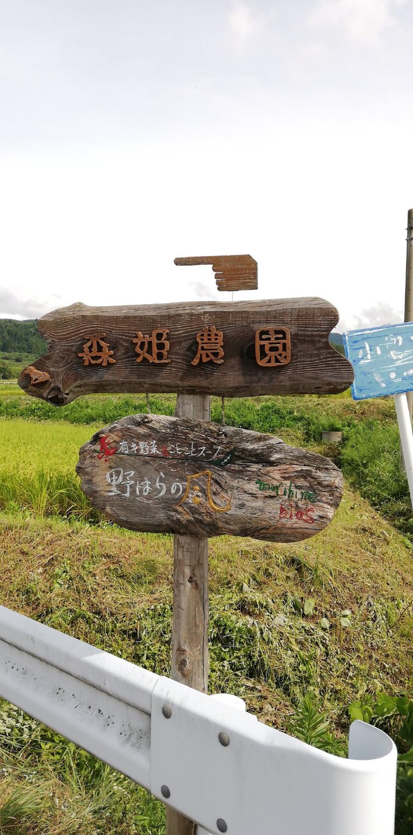 Google の写真
