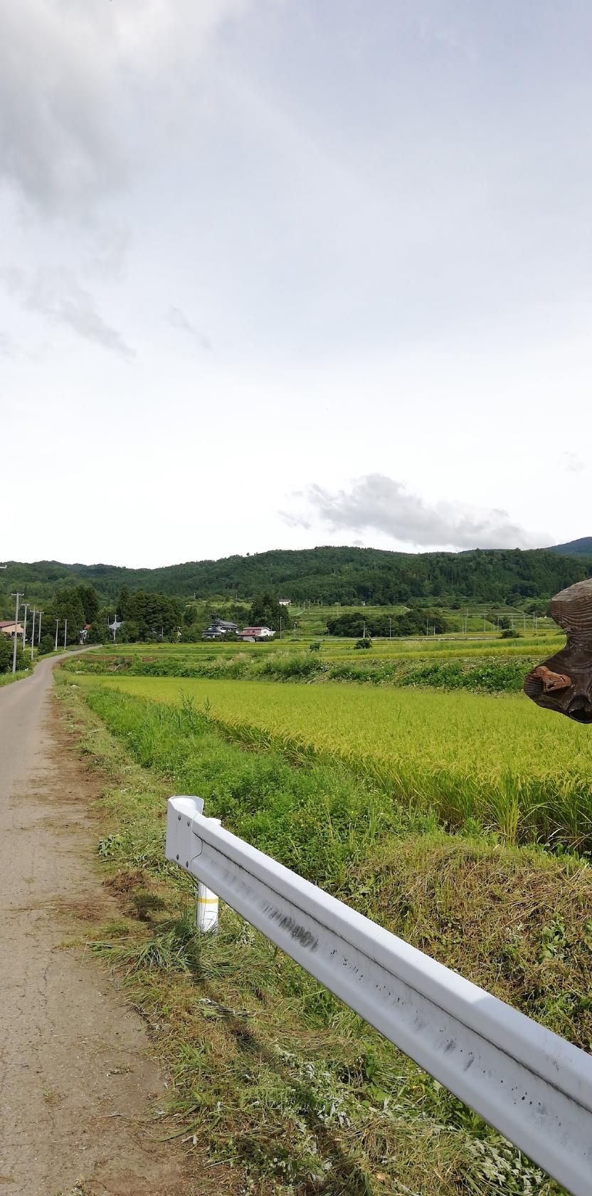 Google の写真