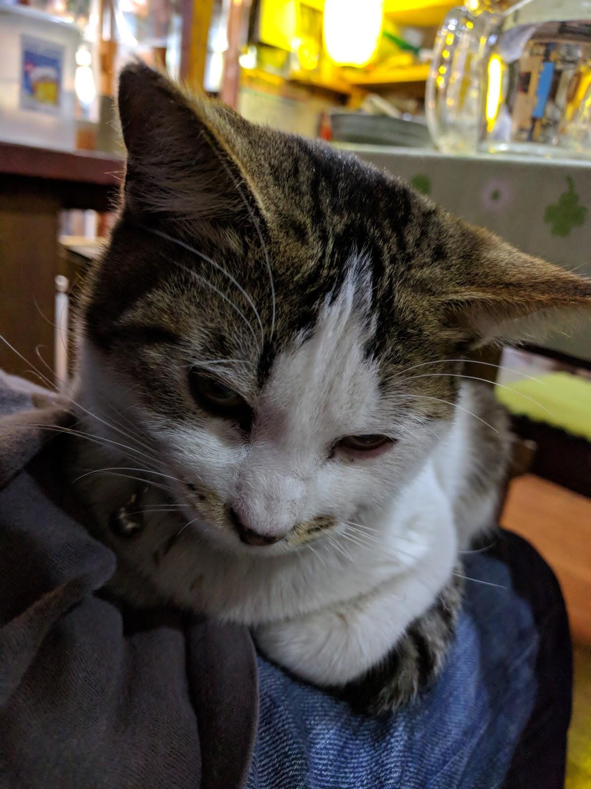 Google の写真