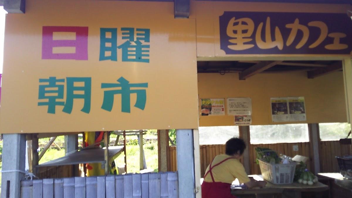 Google の写真