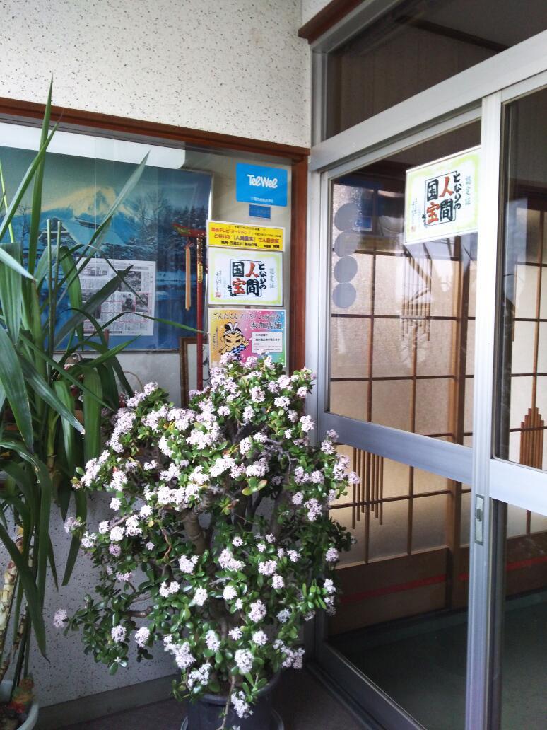 Google の写真