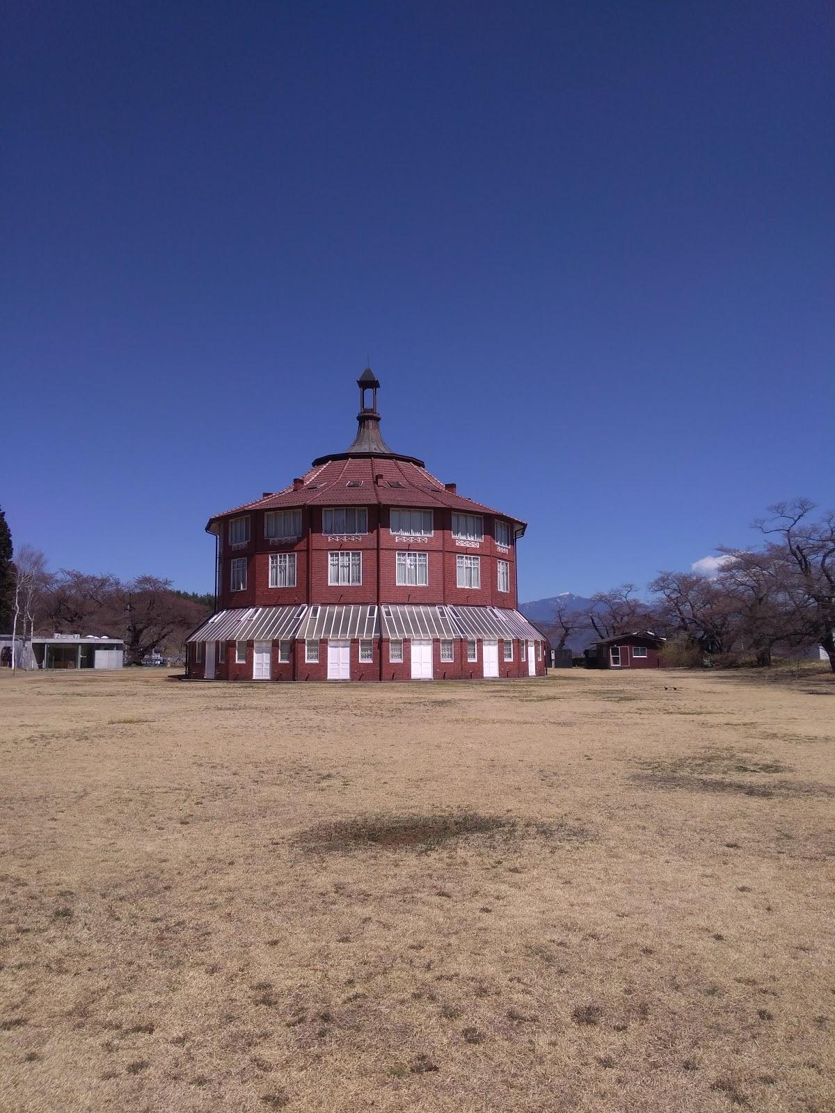 Google の写真