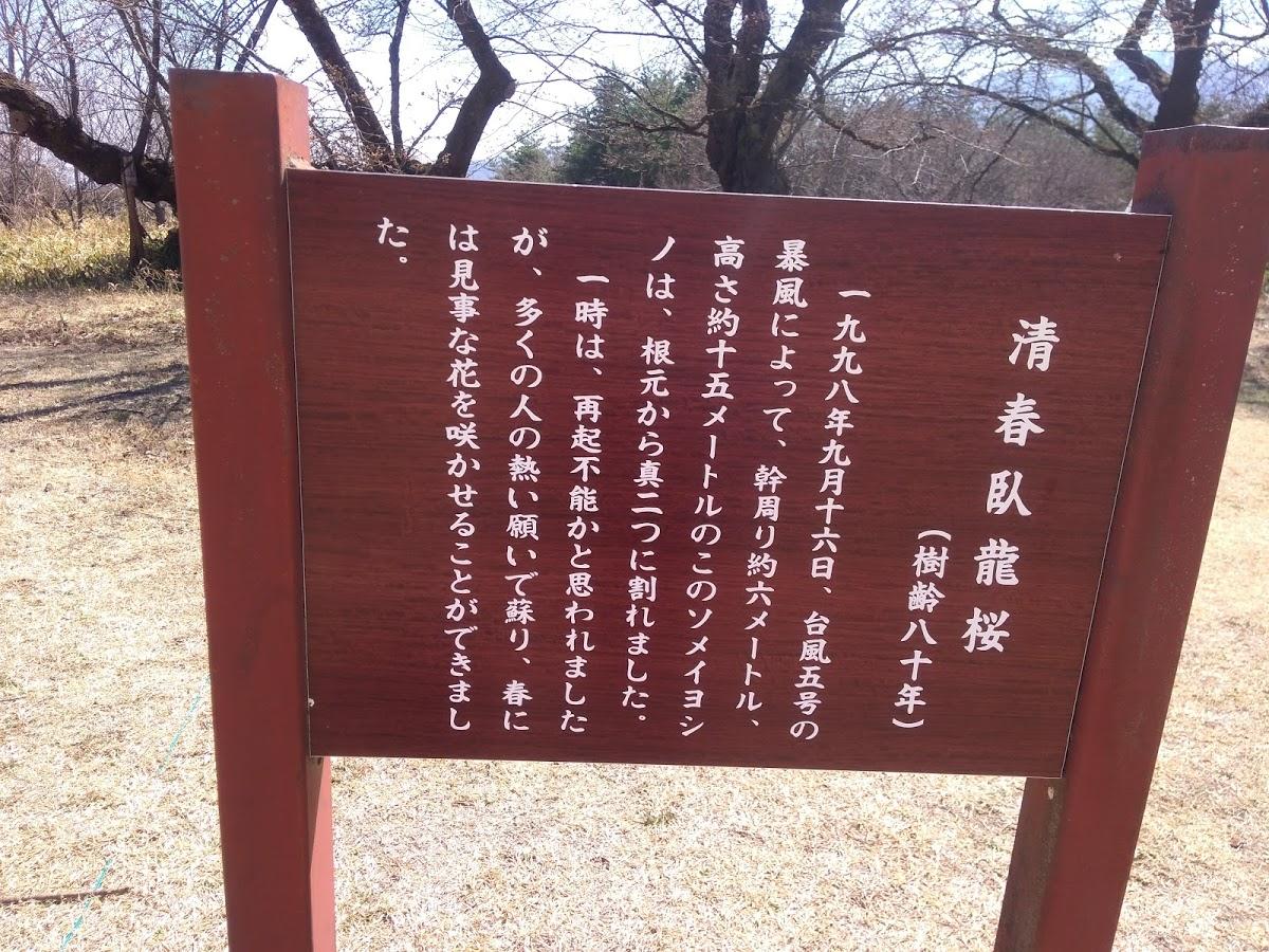 Google の写真