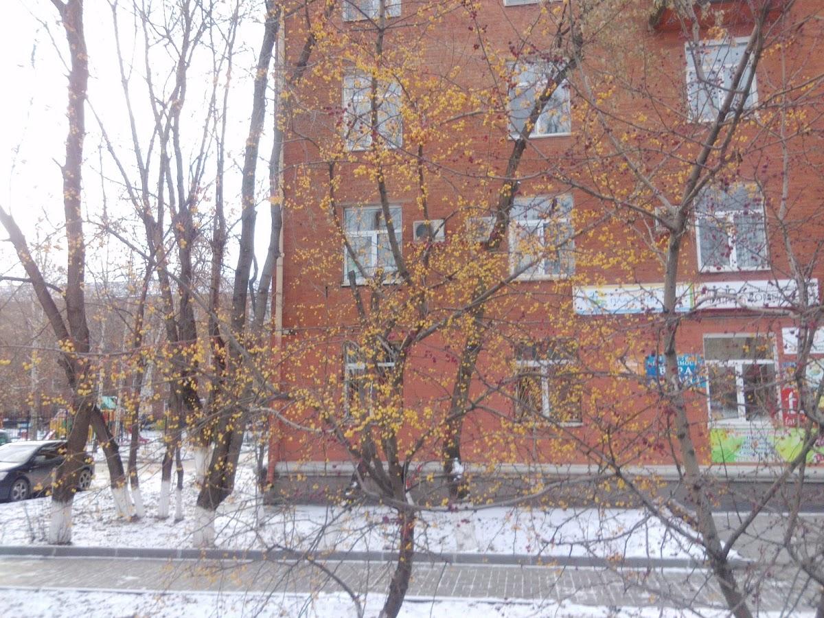 Photo from Google