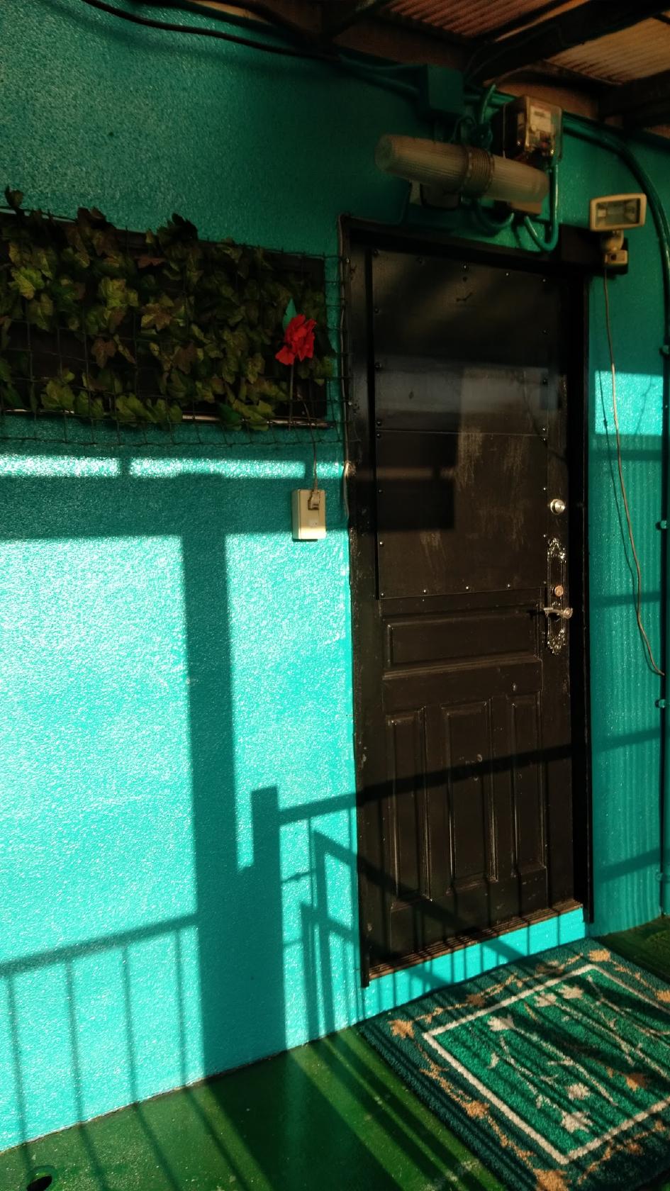 Google の写真