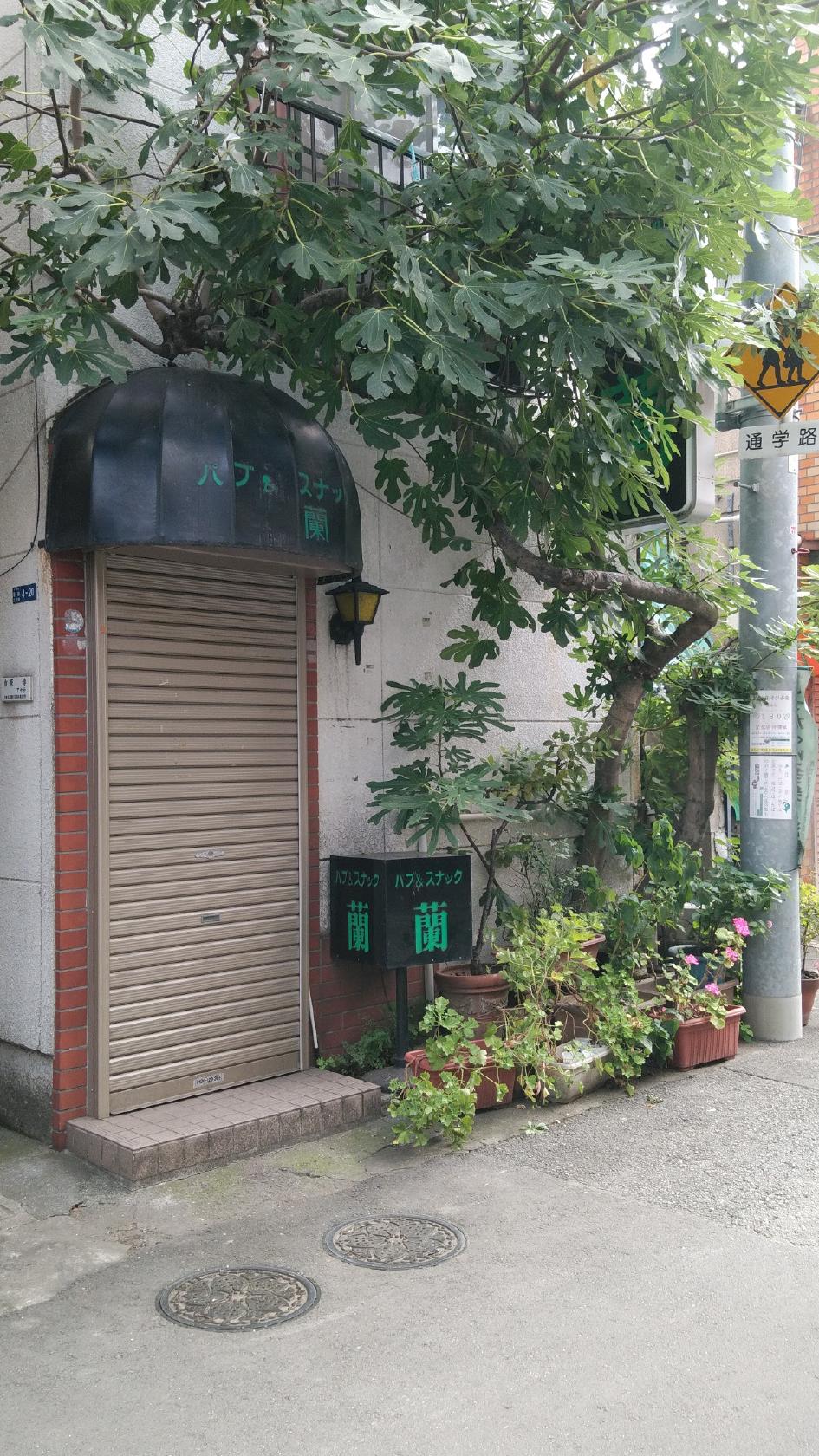 Google の写真