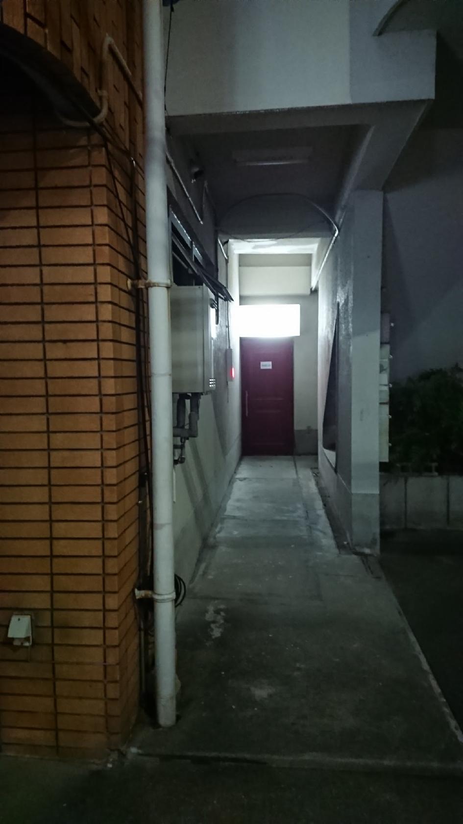 Google の写真