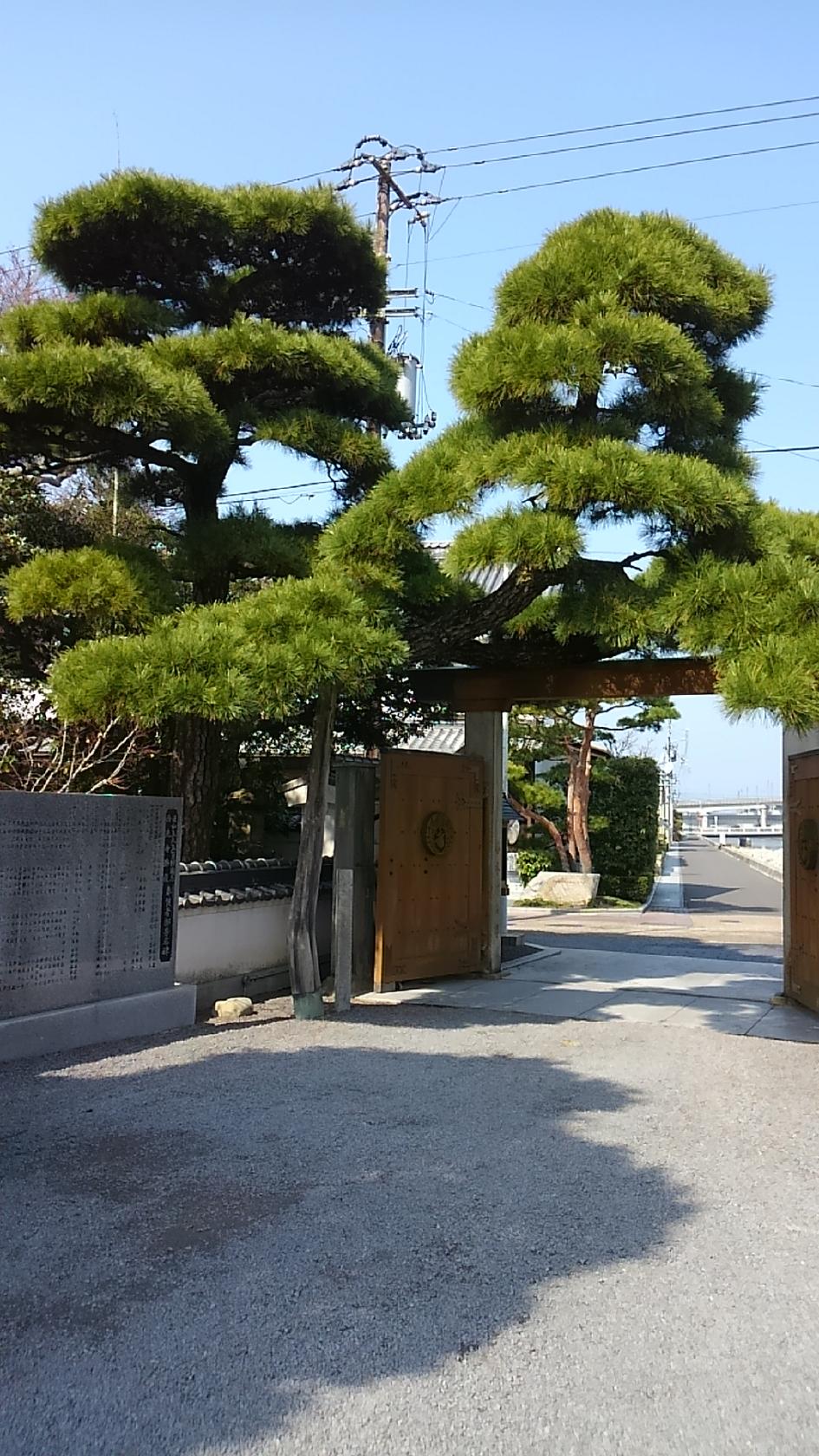 Google の写真