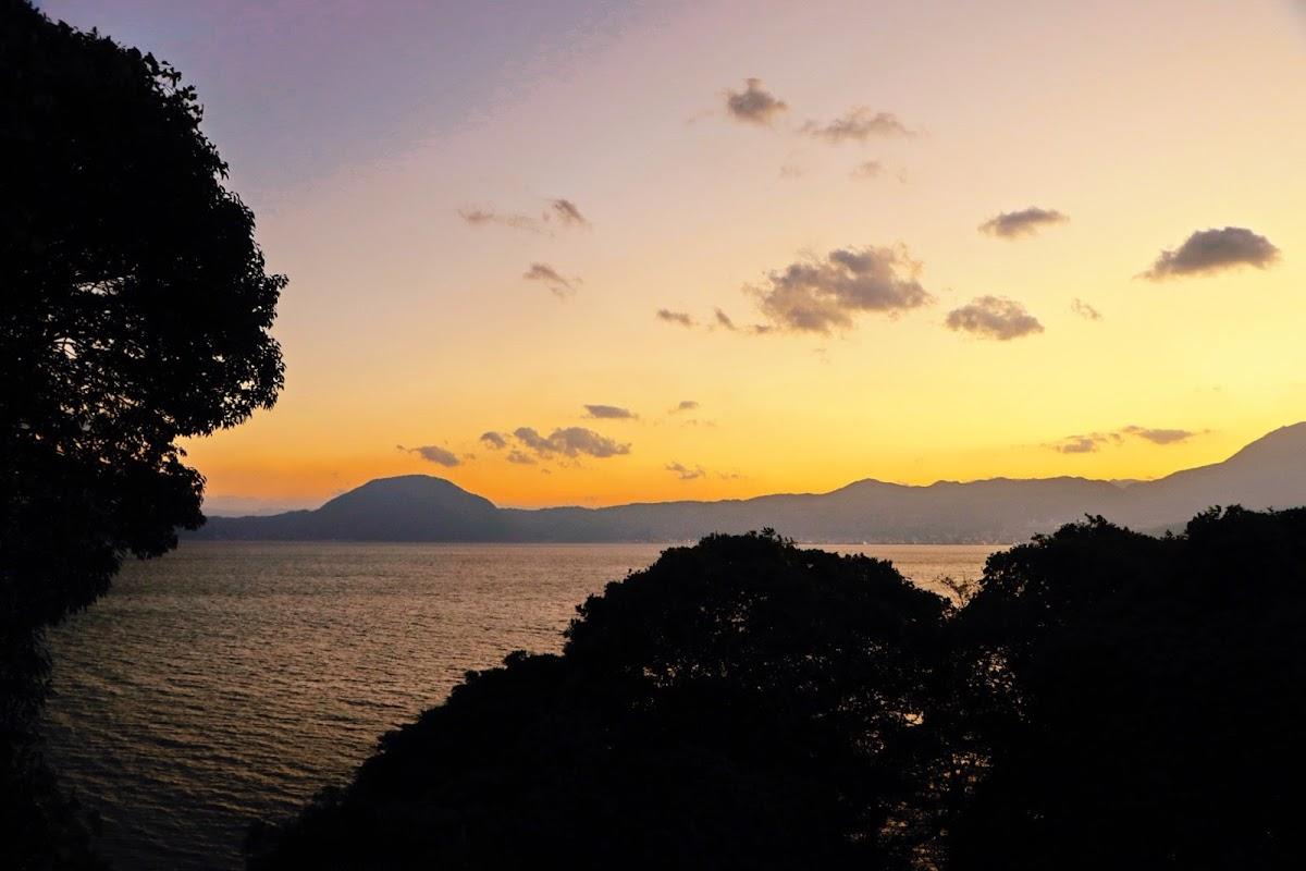 Google の写真