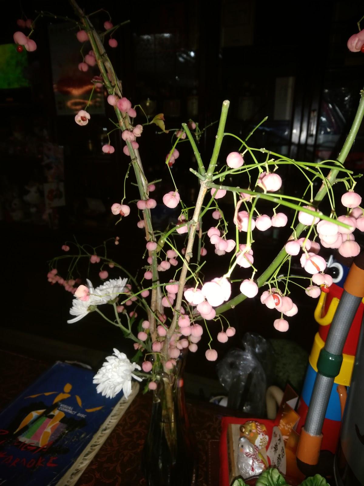 Google の写真
