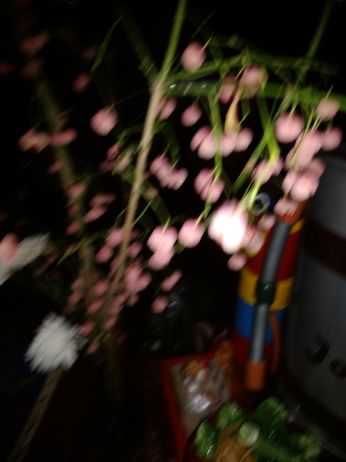 Google の写真
