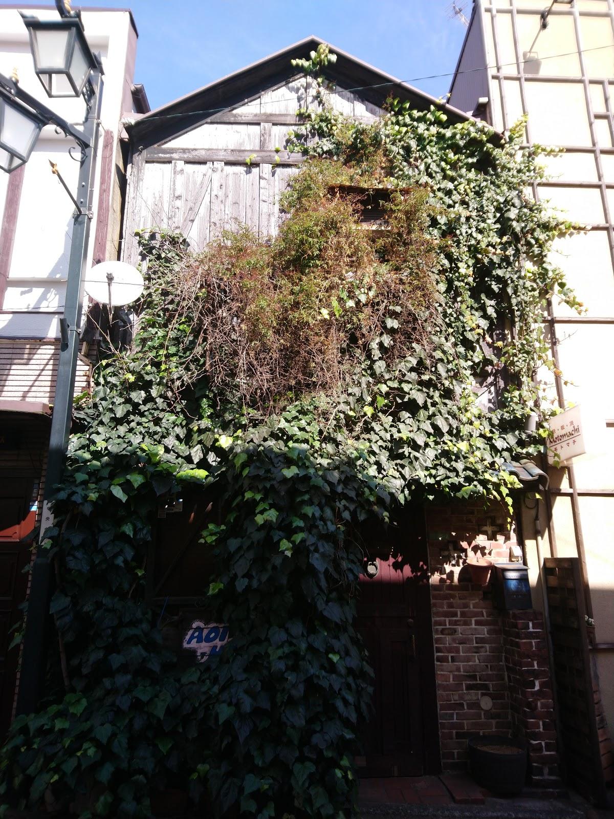 Google の写真