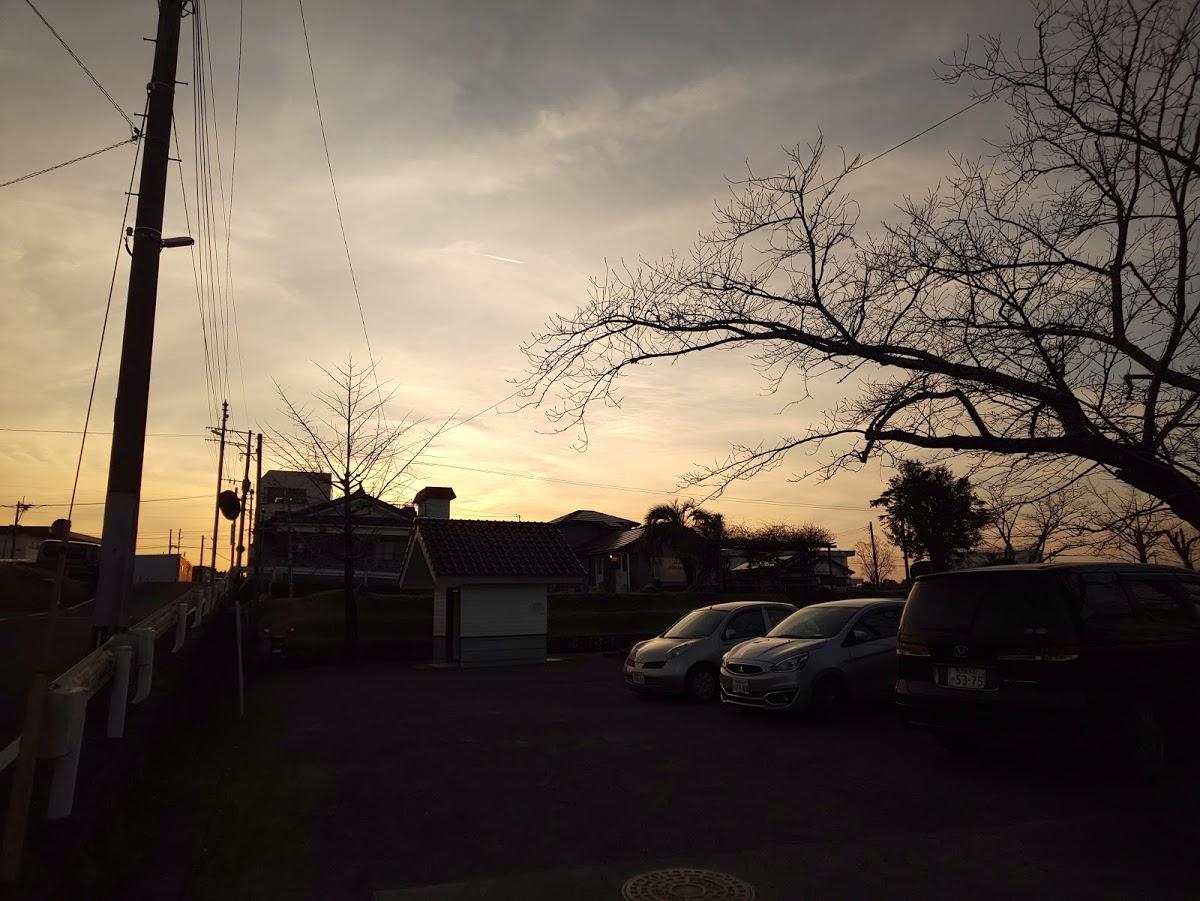 Google の写真