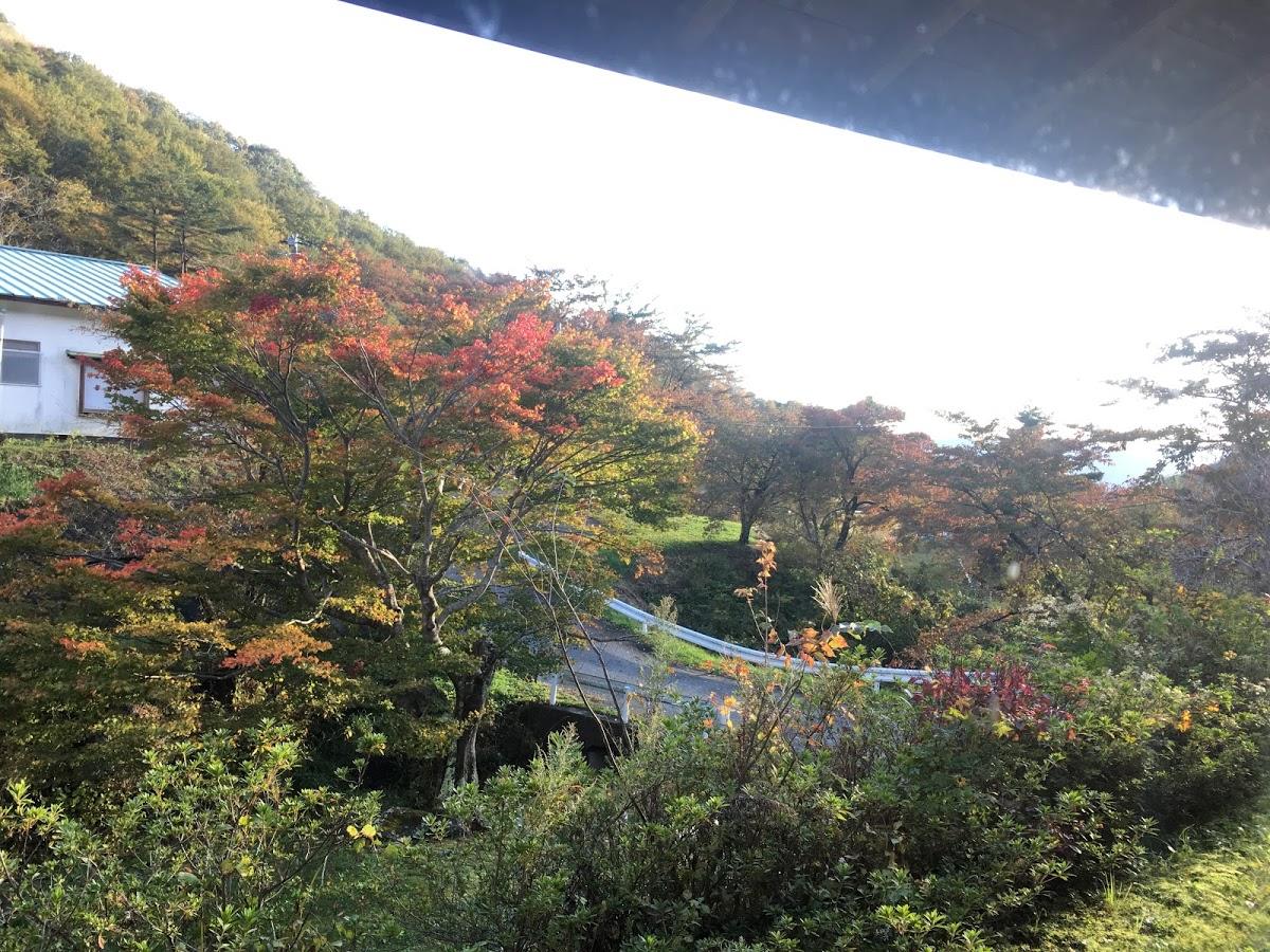 Google の写真