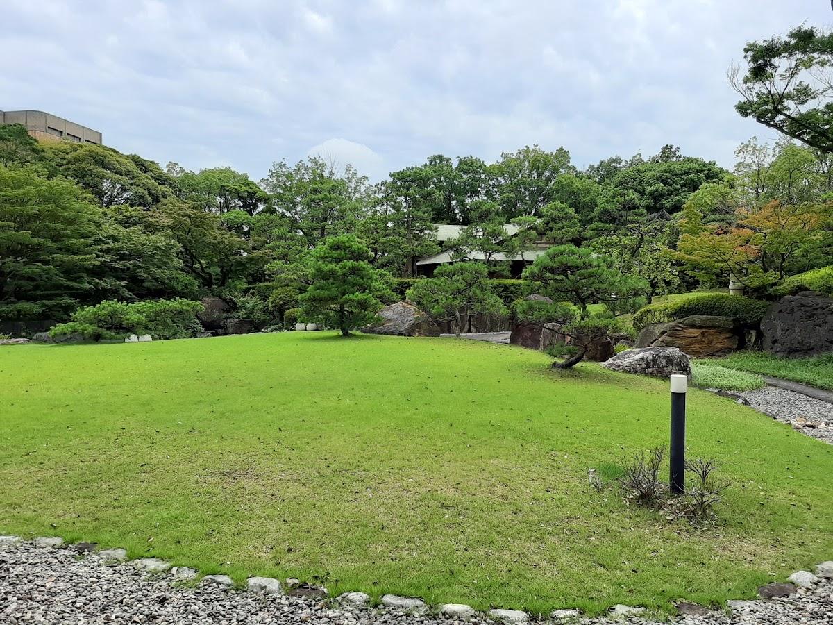 Google の写真