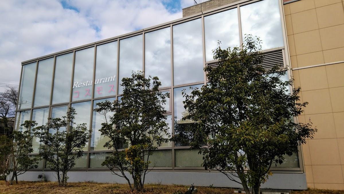 Google の写真