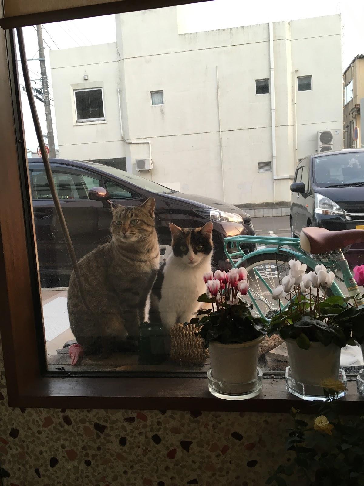 Google の写真