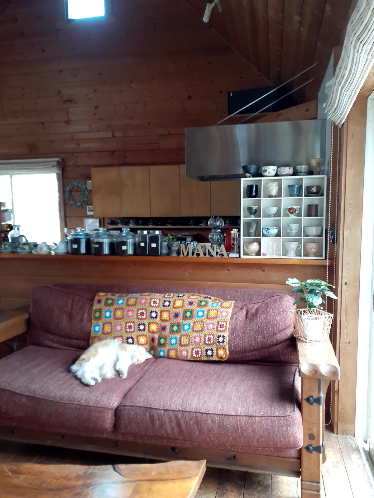 Google の写真