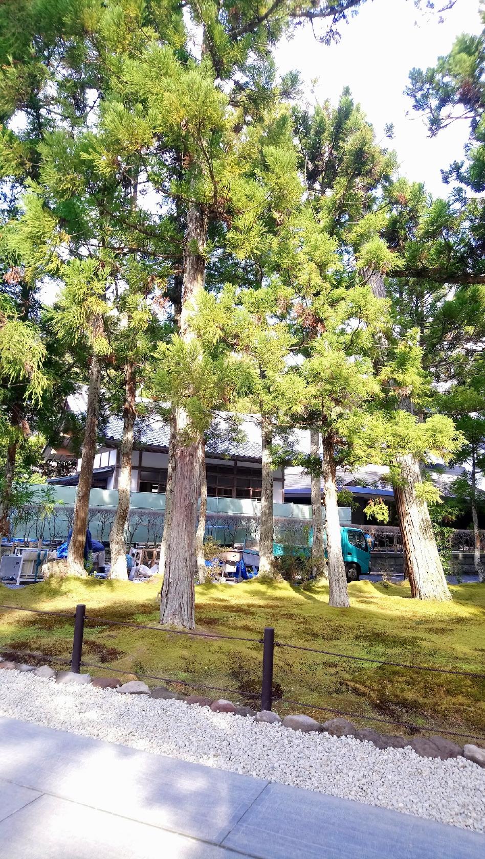 Google の写真