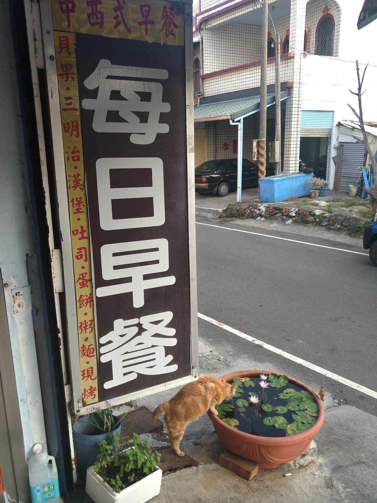 Google の写真