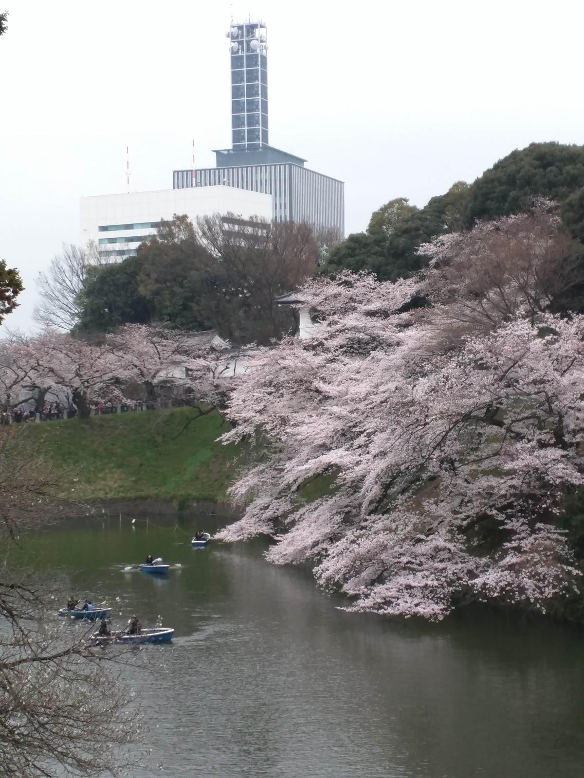 Google の写真