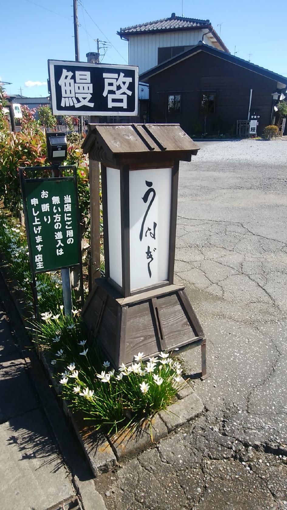 Google の写真