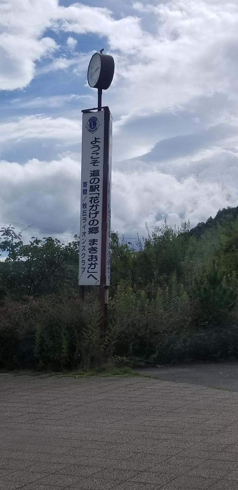 Google の写真