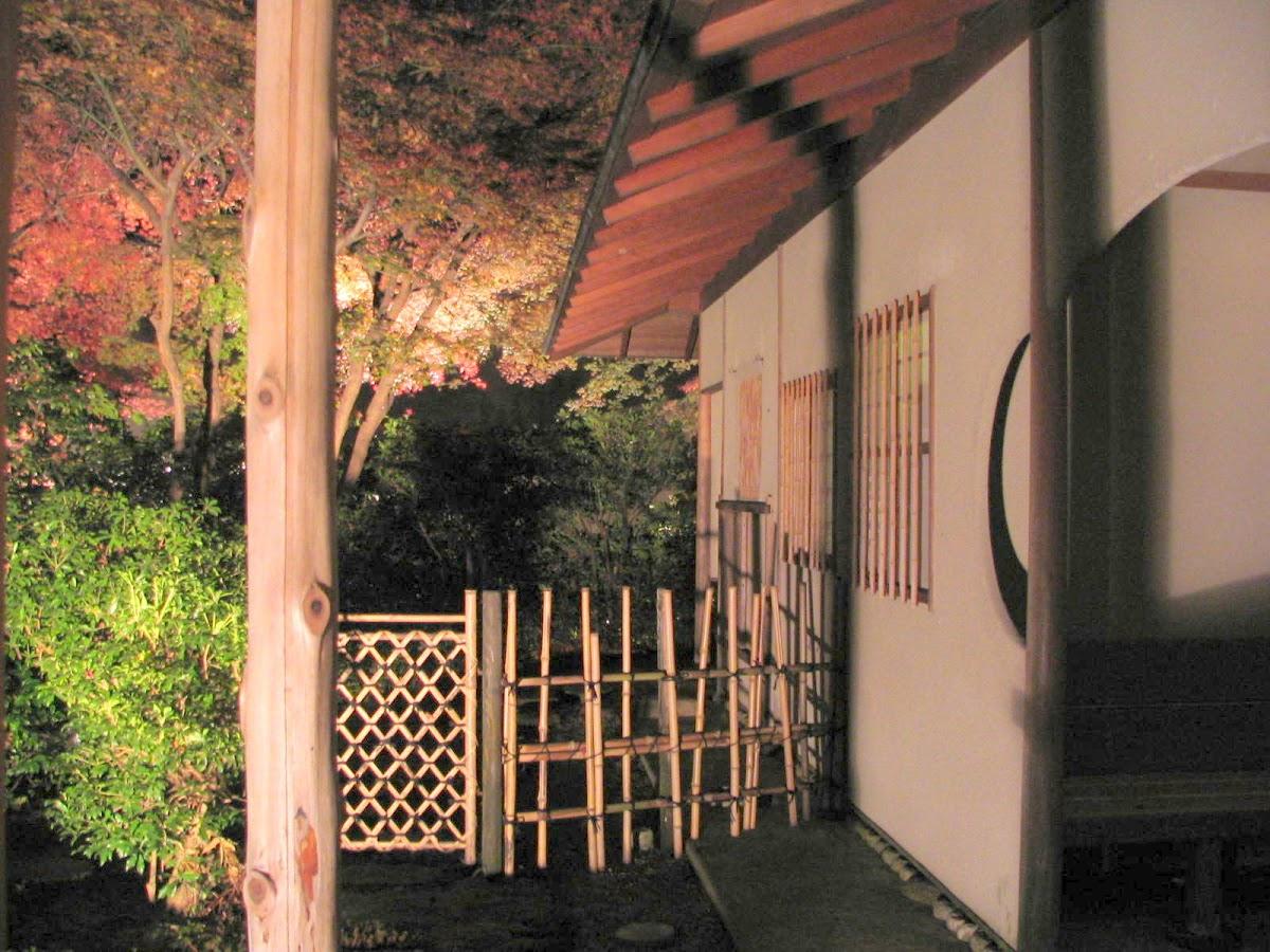 Google の写真
