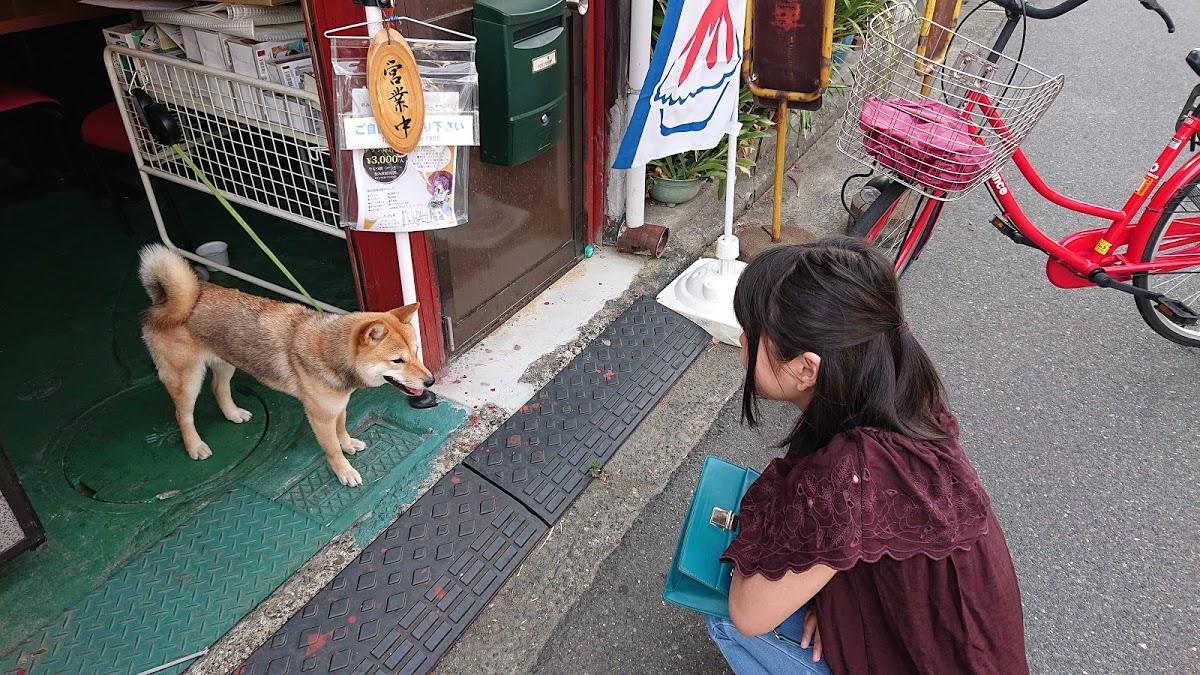 Google の写真