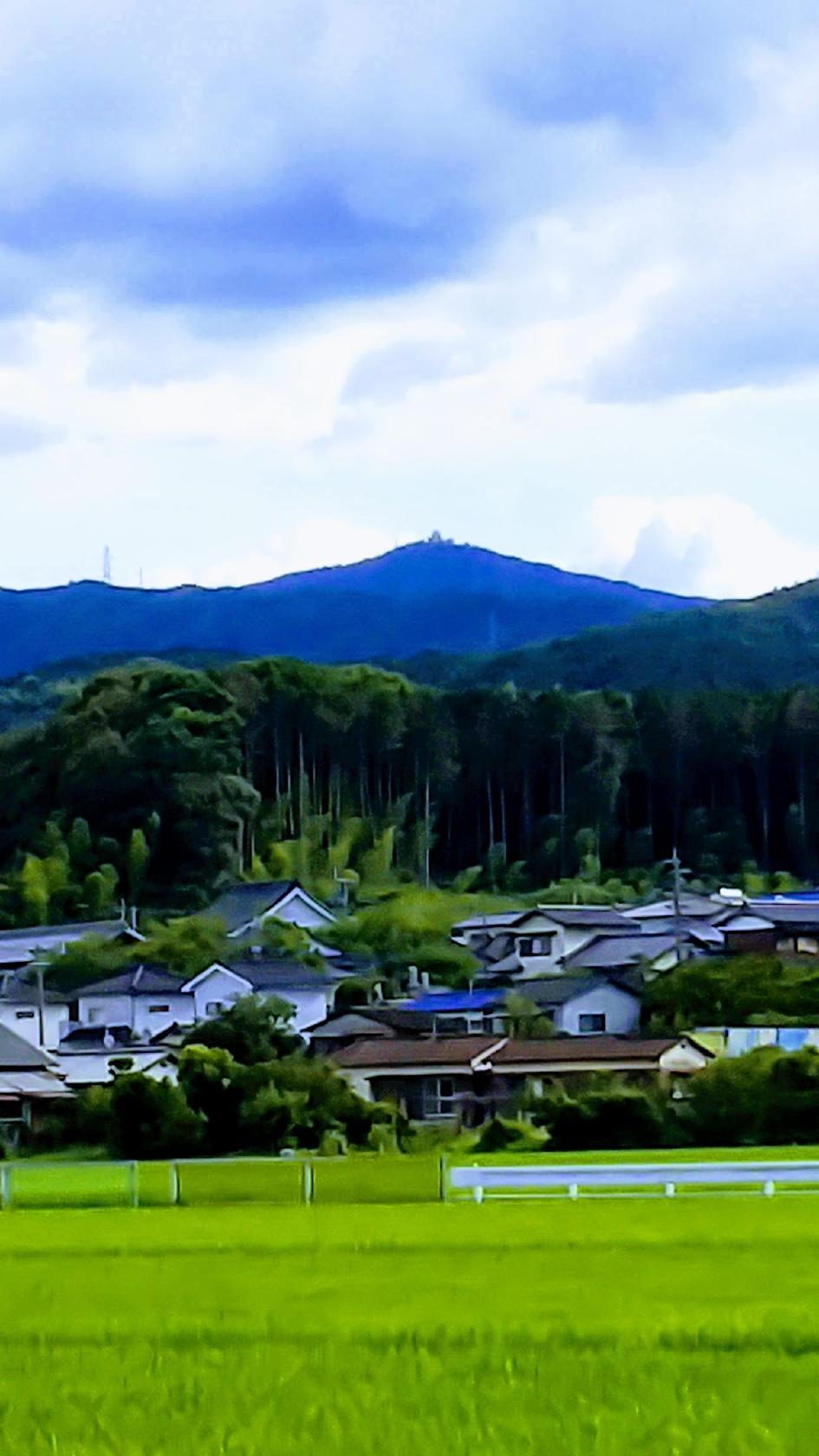 Google の写真