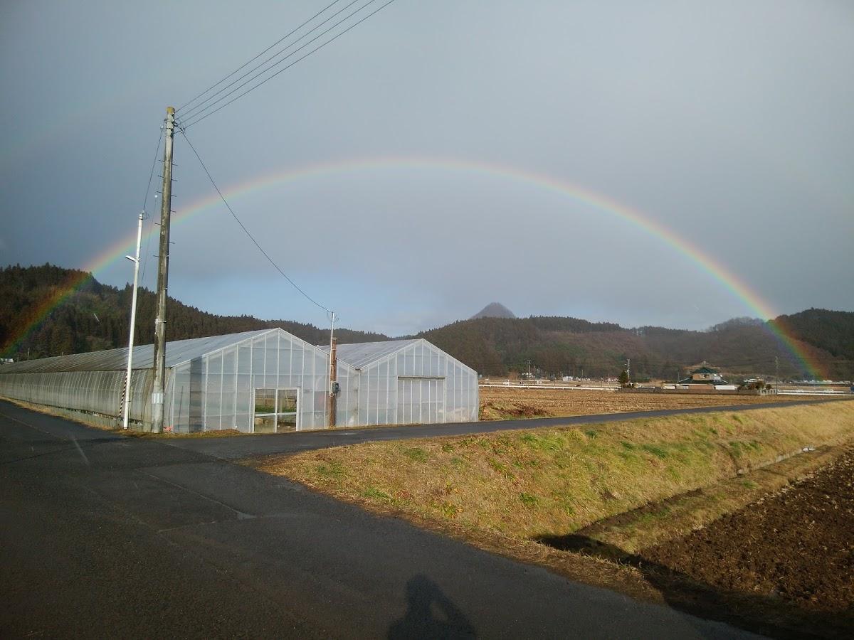 Google の写真