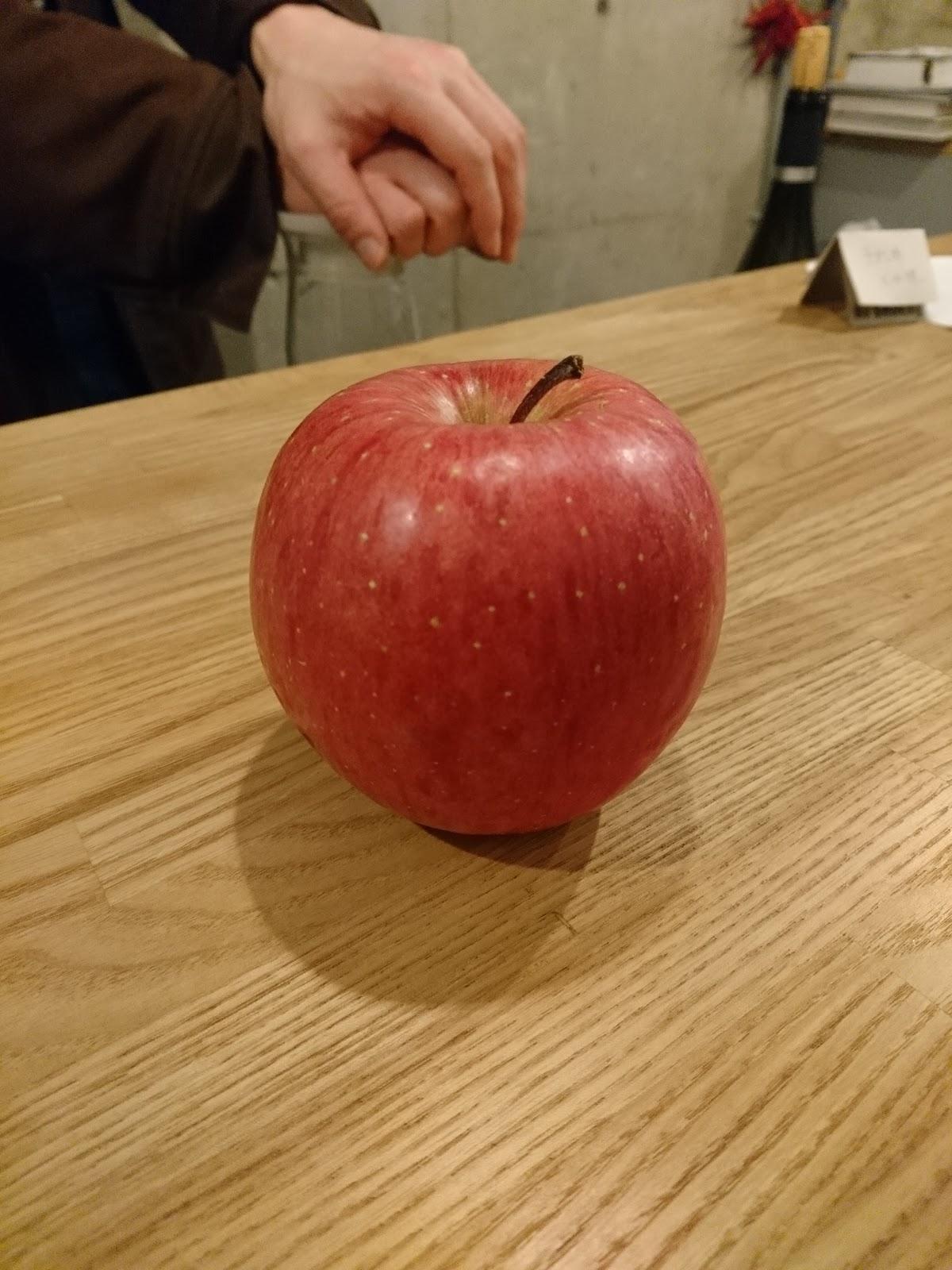 Photo from Google
