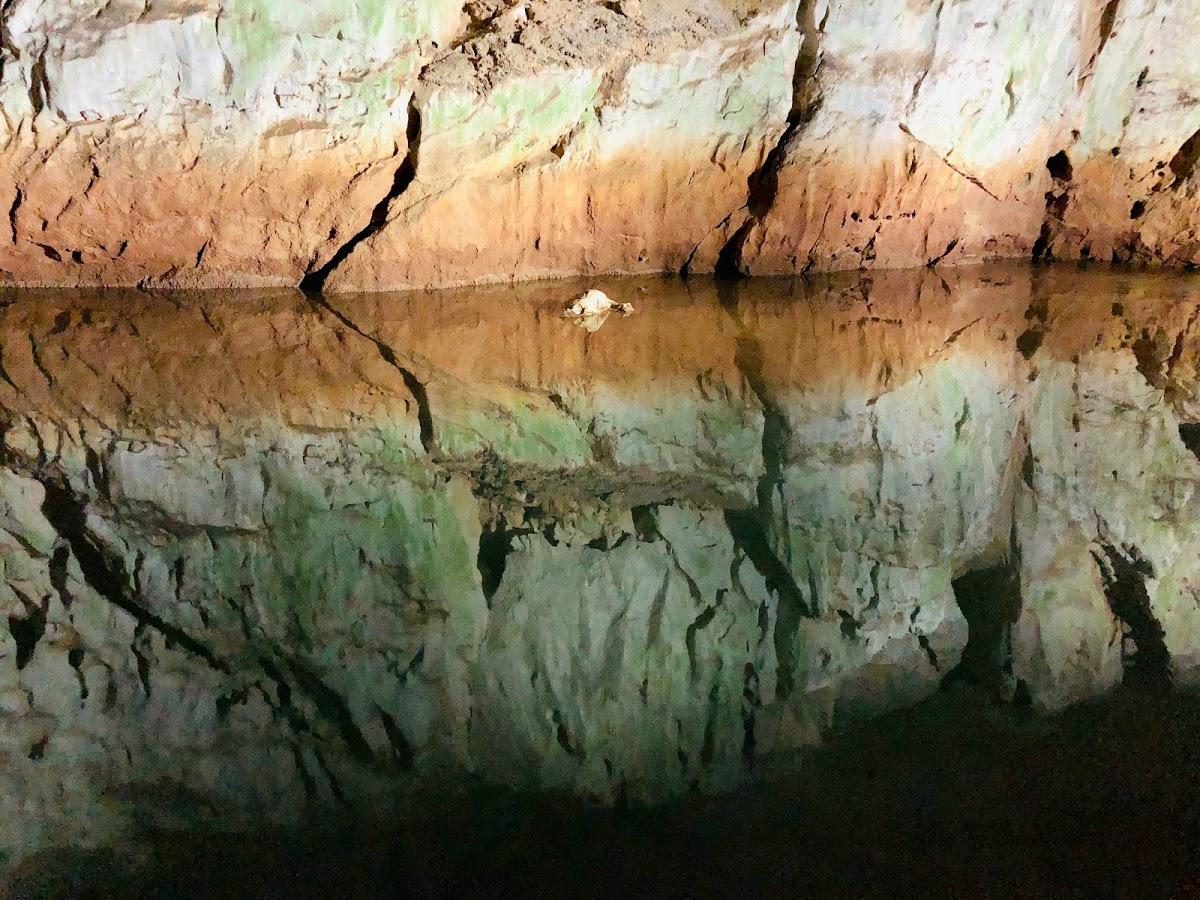 Google の写真
