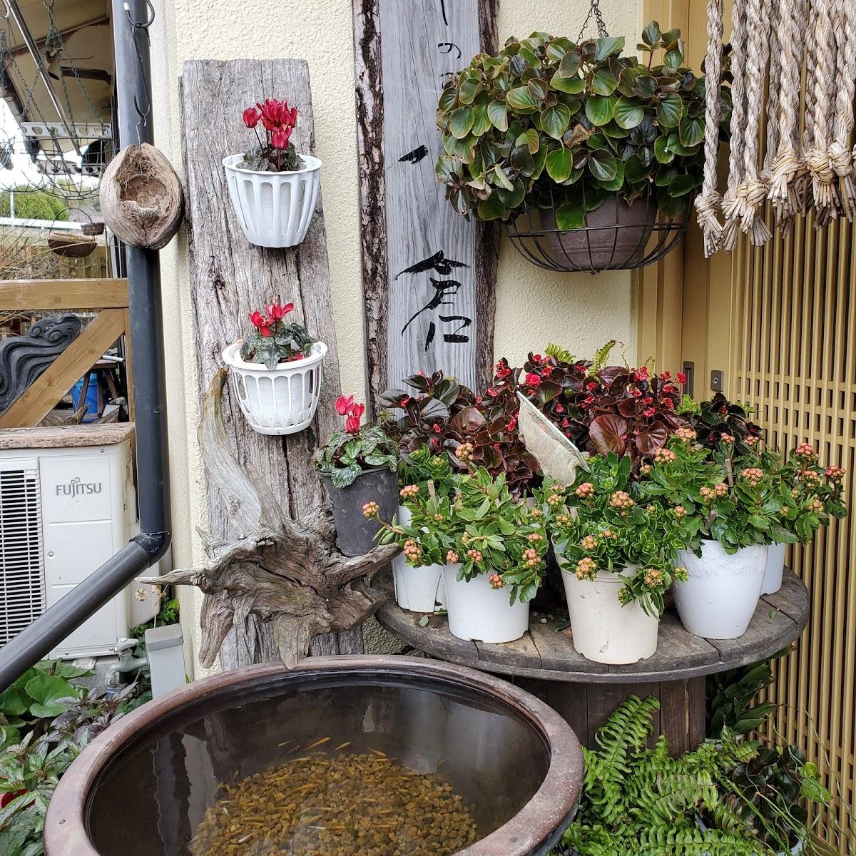 Google の写真