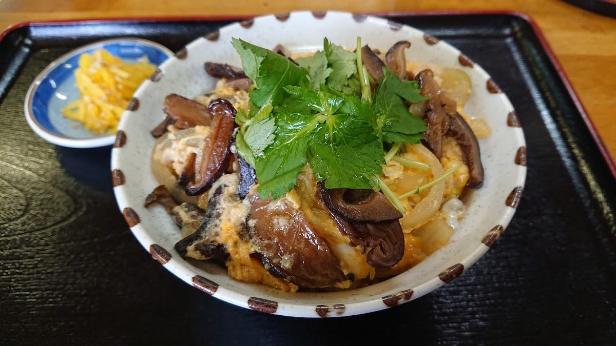 Google の写真