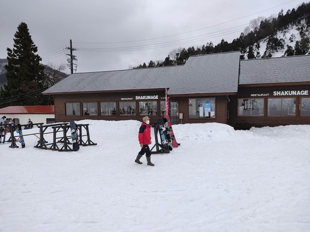 Google の写真