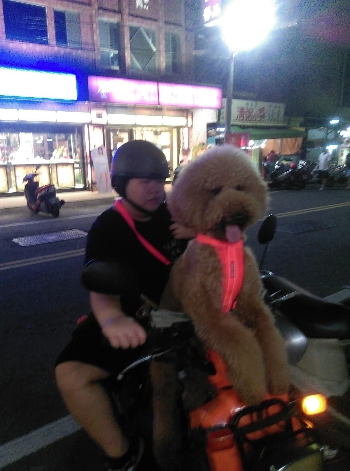 Google の写真
