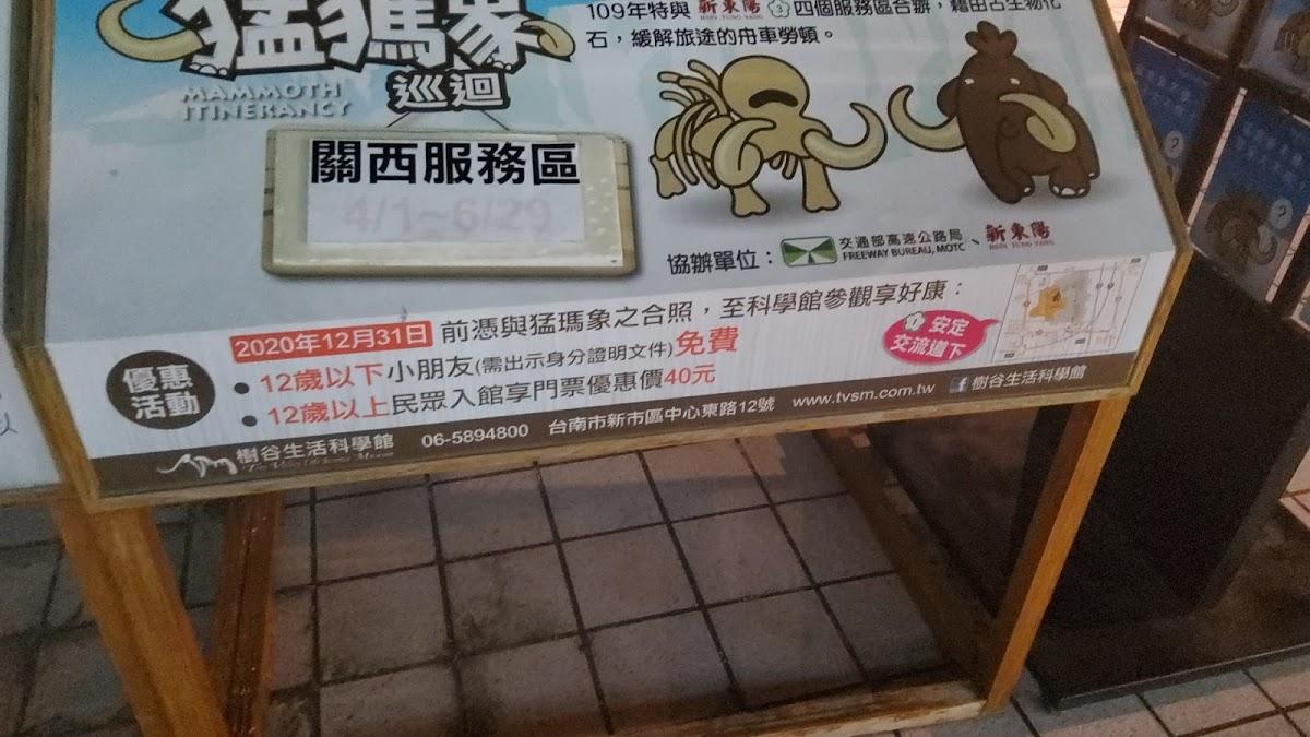 Google の写真