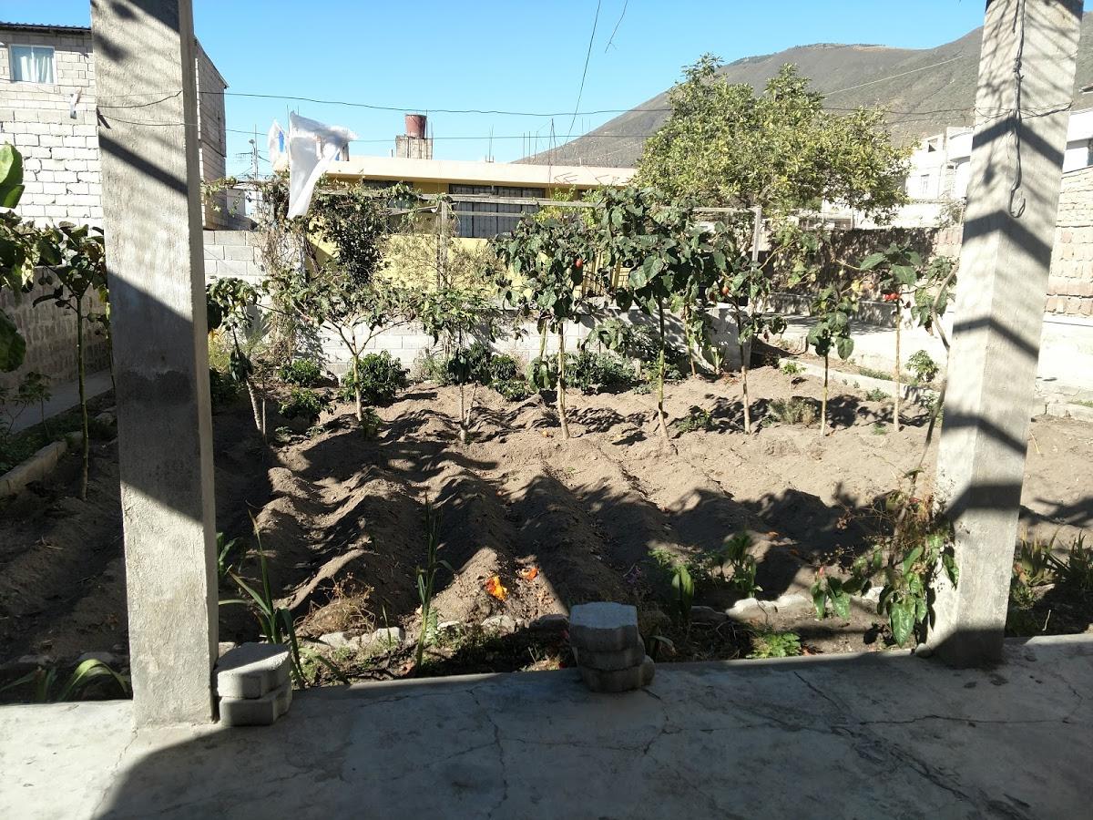 Photo from Google