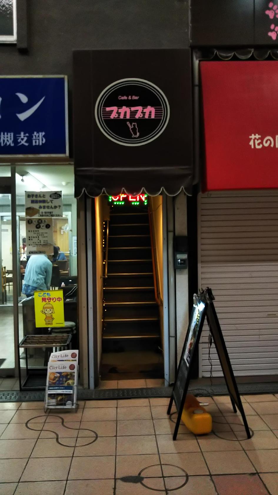 Google の写真