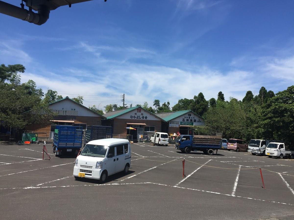 Google の写真