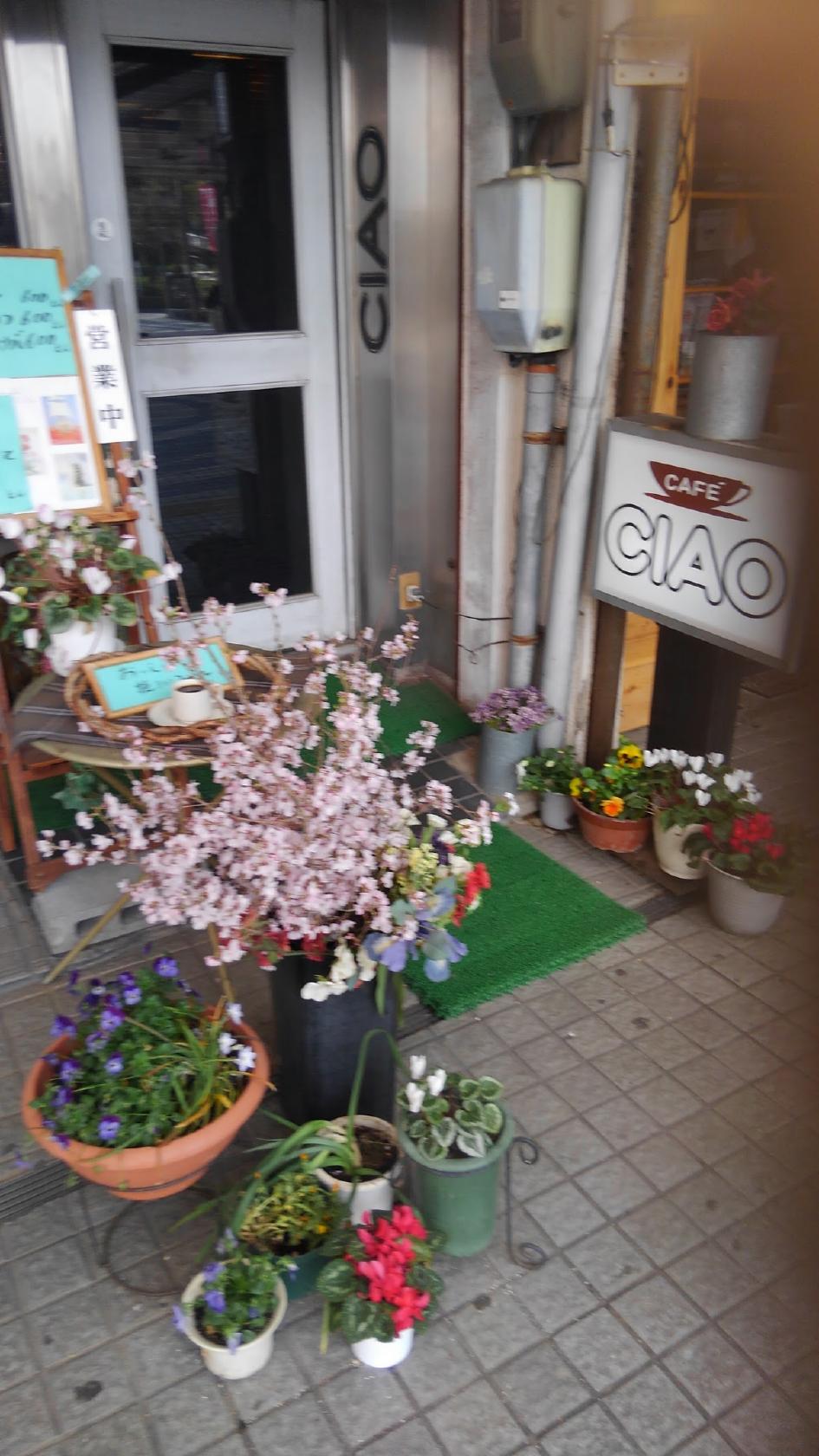 Google の写真