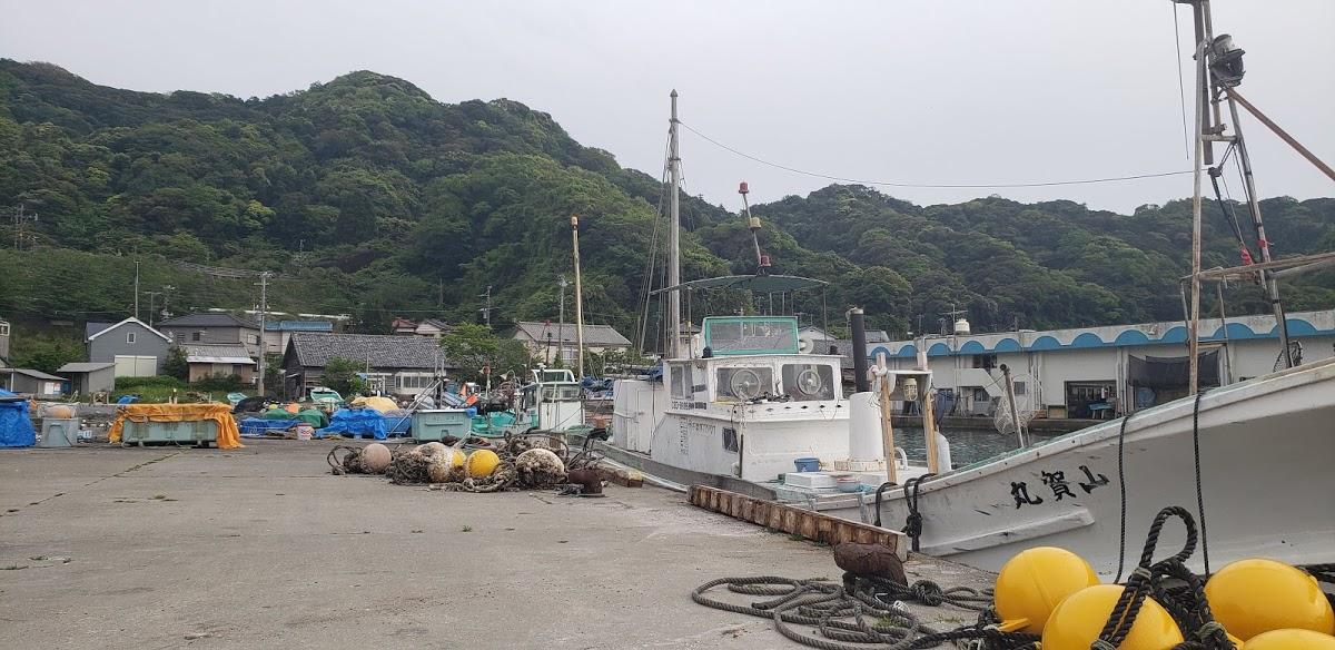 Google の写真