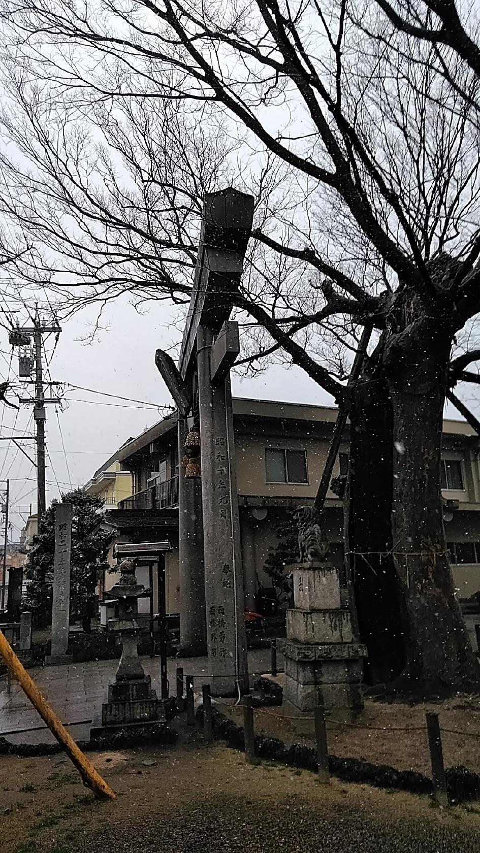Google の写真