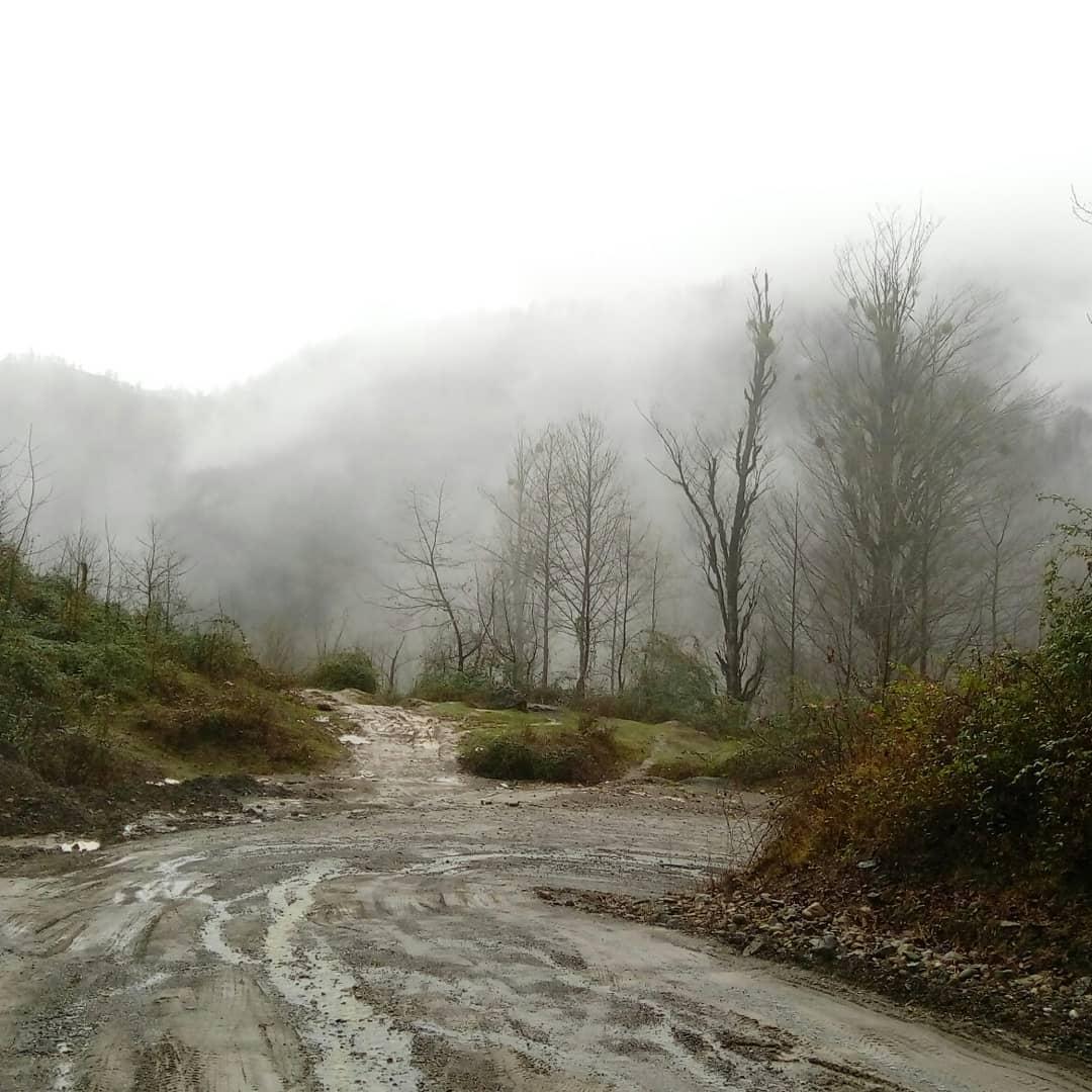 Photo from Google